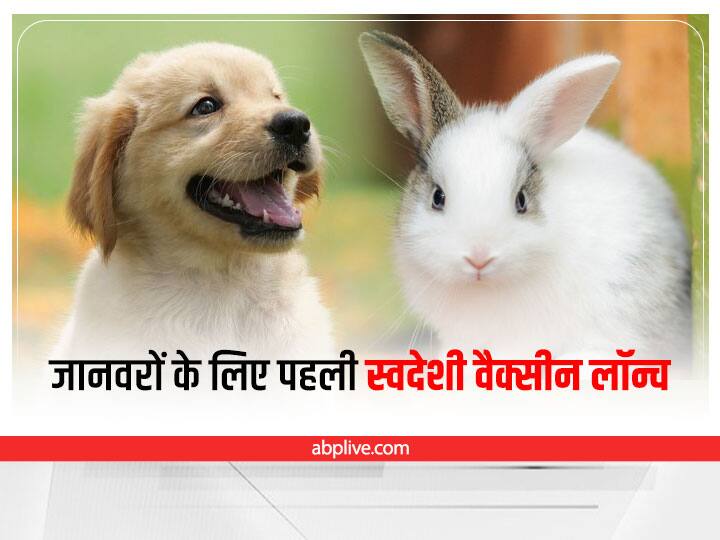 Now animals will also be able to get corona vaccine Union Minister Narendra Singh Tomar launched vaccine Delhi News: अब जानवरों को भी लग सकेगा कोरोना का टीका, केंद्रीय मंत्री नरेंद्र सिंह तोमर ने लॉन्च की वैक्सीन