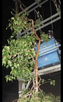 Nashik Chandwad Rain : चांदवडला पावसाची वादळी सलामी, कांदा शेड, झाडे, विद्युत खांब कोसळले, अनेक जण जखमी