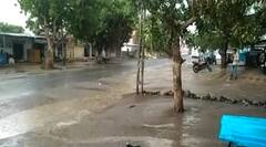 અમરેલીઃ ધારીના ગ્રામ્ય વિસ્તારોમાં ખાબક્યો ધોધમાર વરસાદ, જુઓ કેવી છે સ્થિતિ?