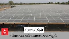 વીજળીની ખેતી : ગોંડલના ઉમરાડી ગામમાં ખેતરમાં વીજળીની ખેતી કરી દર મહિને 15 લાખની કમાણી કરી રહ્યાં છે ખેડૂતો