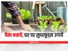 Microgreens Cultivation: घर पर कम खर्च में उगायें ये सुपरफूड, बेहतर सेहत के साथ होगी मोटी कमाई
