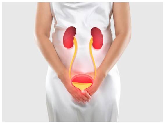 Hairfall से लेकर वजन को भी कंट्रोल करता है अश्वगंधा, जानें महिलाओं के लिए कितना फायदेमंद