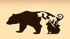 Optical Illusion: ক'টি প্রাণী রয়েছে এই ছবিতে? সঠিক উত্তর নিয়ে নানা মত