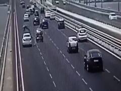 Watch video: பறவையை காப்பாற்ற சென்று உயிரைவிட்ட பரிதாபம்...நடுரோட்டில் நடந்த சம்பவம்...அதிர்ச்சி வீடியோ