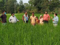 Bastar News: बस्तर में पहली बार होगी भारतीय प्राकृतिक कृषि पद्धति से खेती, किसानों को विभाग देगा प्रोत्साहन राशि