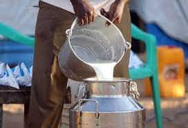Buffalo Milk Price Hike in mumbai by 2 rupee per litre from 1 september 2023 Know more details Milk Price Hike: ऐन सणासुदीच्या काळात मुंबईकरांना झटका; आजपासून दुधाच्या दरांत प्रतिलिटर 2 रुपयांची वाढ