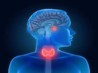 Thyroid Symptoms : महिलांनो सावधान! 'या' लक्षणांकडे अजिबात दुर्लक्ष करू नका; असू शकतात थायरॉईडची लक्षणं