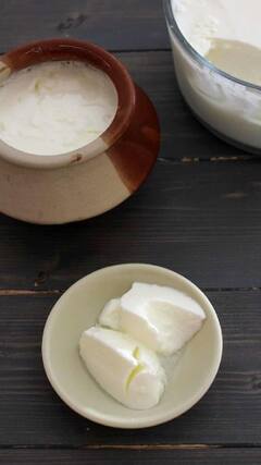 Curd Eating Tips : आयुर्वेदिक पद्धतीने दही खाल्ल्याने अनेक आजारांपासून बचाव होईल