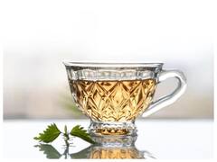 Nettle Tea Weight Loss: वेट लाॅस के लिए ग्रीन टी को रिप्लेस कर रही है नेटल टी, जानिए क्या है ये