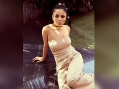 PHOTO : बॉलिवूड पदार्पणापूर्वीच शहनाज गिलचा जलवा, सोशल मीडियावर शेअर केले सिझलिंग फोटो!