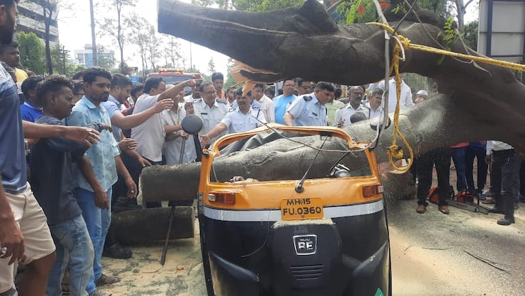 Maharashtra News Nashik News tree falls on auto rickshaw two killed Nashik Accident : नाशिकमध्ये रिक्षावर झाड कोसळून दोन जणांचा करुण अंत, शहरातील दुसरी घटना