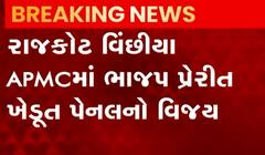 Rajkot: વિંછીયા APMCમાં ભાજપ પ્રેરિત ખેડૂત પેનલનો થયો વિજય, જુઓ ગુજરાતી ન્યૂઝ