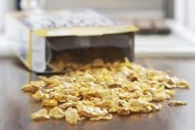 आइए आपको बताते हैं कि आप कैसे (How to start own business) और कौन सा बिजनेस शुरू करके महीने में आराम से 1,20,000 रुपये कमा सकते हैं.