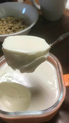 Curd Eating Tips : आयुर्वेदिक पद्धतीने दही खाल्ल्याने अनेक आजारांपासून बचाव होईल