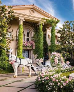 Britney Spears ने बॉयफ्रेंड Sam Asghari संग की तीसरी शादी, पॉप सिंगर की फेयरीटेल वेडिंग की तस्वीरें आईं सामने