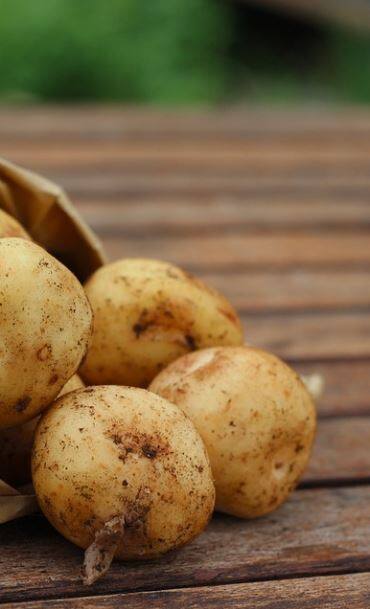 ত্বকের যত্নে আলু