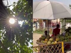 Chandauli News: भीषण गर्मी के प्रकोप से घरों में दुबककर बैठे लोग, छोटे व्यापारियों के काम पर भी बुरा असर