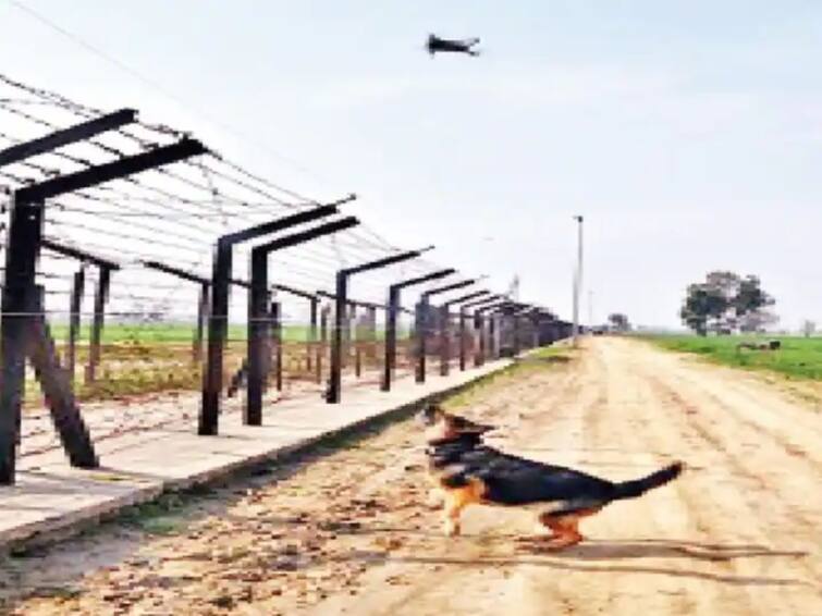 bsf initiative anti drone dog squad will also be deployed on rajasthan border   ड्रोन हल्ले अन् तस्करी रोखण्यासाठी भारताचा मोठा निर्णय, सीमेवर तैनात करणार अॅण्टी ड्रोन डॉग स्क्वॉड