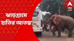 Jhargram News: ঝাড়গ্রামজুড়ে হাতির আতঙ্ক, প্রাণ বাঁচাতে বেরিয়ে ছুট স্থানীয়দের