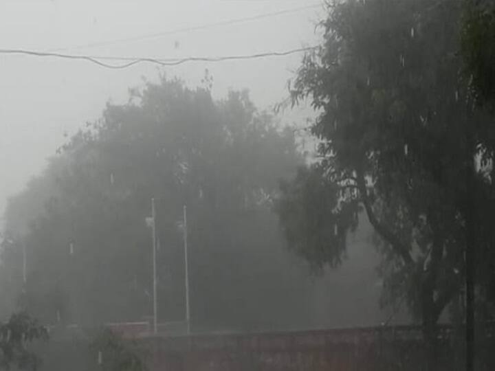 maharashtra News Aurangabad  Rain Update News Rain Update News: औरंगाबादमध्ये दुसऱ्या दिवशीही पावसाची हजेरी