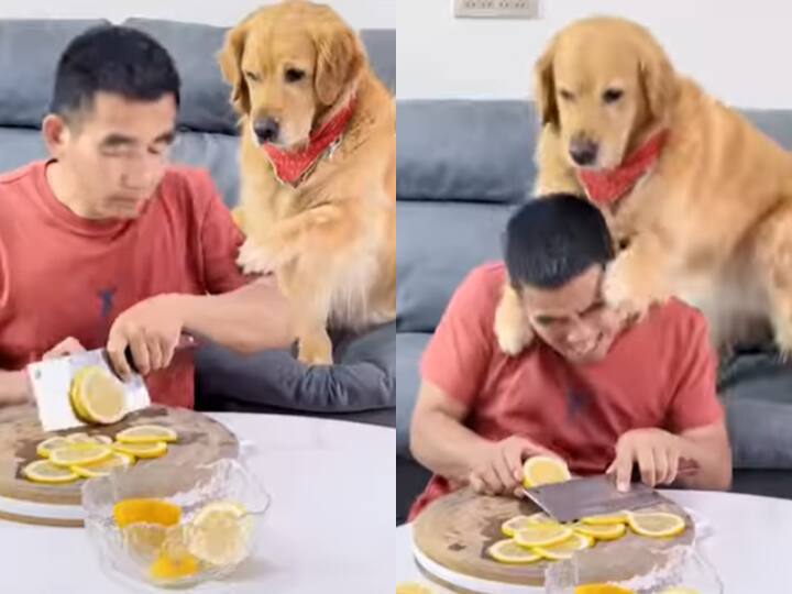 dog licks lemon video viral on social media Watch: शख्स ने कुत्ते को चटा दिया नींबू, फिर जो हुआ उसे देख छूट जाएगी आपकी हंसी
