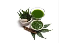 ਆਪਣੀ ਬਿਊਟੀ ਰੁਟੀਨ 'ਚ ਨਿੰਮ ਨੂੰ ਕਰੋ ਸ਼ਾਮਲ, ਗਜ਼ਬ ਦੇ ਮਿਲਣਗੇ ਫ਼ਾਇਦੇ