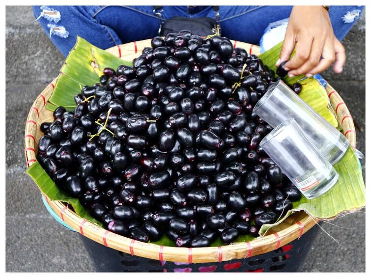 Badlapur Jambhul Java Plum quality is best Bhabha Atomic Energy Research Center Report बदलापूरचे जांभूळ गुणवत्तापूर्ण; भाभा अणूशक्ती संशोधन केंद्राचा अहवाल- काय आहे खासियत