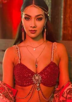 In Pics : कोण आहे ही सुंदरा? अभिनेत्रीच्या हॉट अदा अन् चाहते झाले फिदा