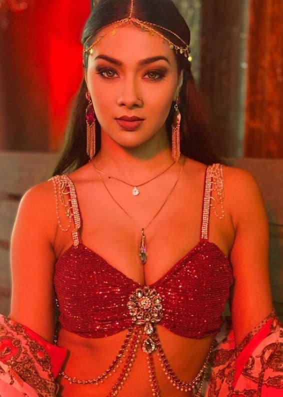 भोजपुरी अभिनेत्री आता मोठ्या अभिनेत्रींना प्रत्येक बाबतीत टक्कर देत आहेत.