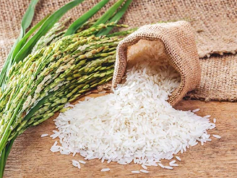 Punekar's response to Rice and Pulses Festival, High demand for organic rice Rice and Pulses Festival : तांदूळ, डाळ महोत्सवाला पुणेकरांचा प्रतिसाद, सेंद्रीय तांदळाला मोठी मागणी