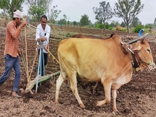 Aurangabad: शेतकऱ्यांनी लगेच पेरणी करू नयेत; कृषी अधिकाऱ्यांनी केलं आवाहन