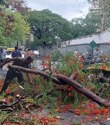 Maharashtra Rain : राज्याच्या विविध भागात जोरदार पावसाची हजेरी, काही ठिकाणी वीज पडल्याची घटना