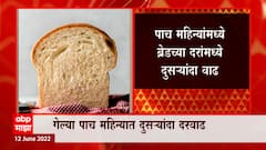 Bread Price Hike : स्लाईस ब्रेडच्या दरांमध्ये 2-5 रुपयांची वाढ, पाच महिन्यांमध्ये दुसऱ्यांदा वाढ