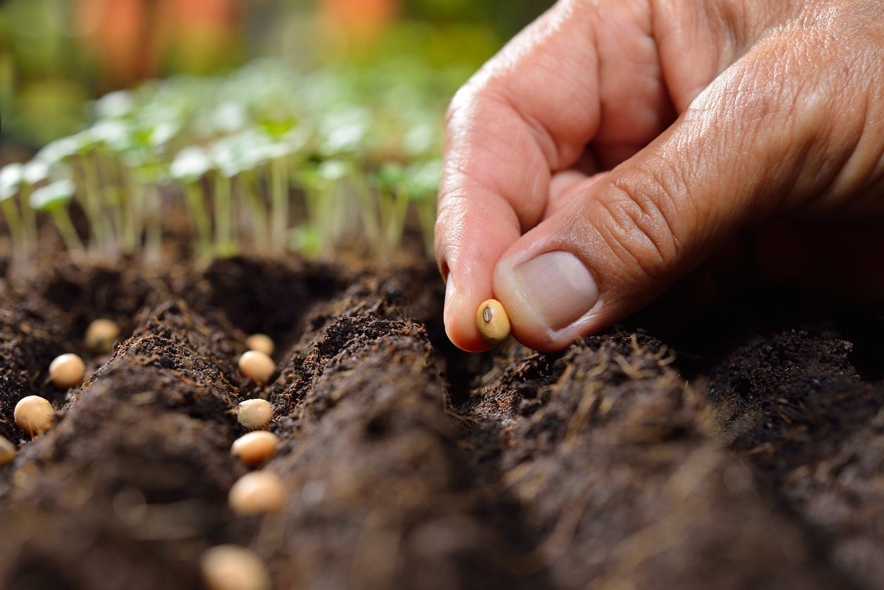 When should farmers Sowing : शेतकऱ्यांनी पेरणी कधी करावी?  पाहा काय म्हणतायेत कृषी तज्ज्ञ 