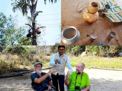 Bastar News: सल्फी पेड़ में फंगस ने छीना आदिवासियों की आय का साधन, एक्सपर्ट ने बताए उपाय