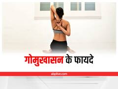 Gomukhasan Benefits :  नियमित रूप से गोमुखासन का करें अभ्यास, शरीर को मिलेंगे ढेरों फायदे