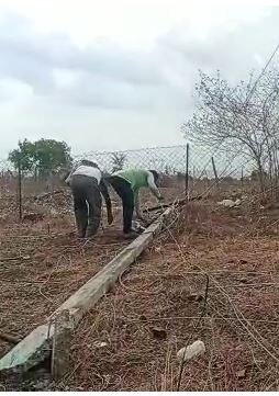 Maharashtra Rain : राज्याच्या विविध भागात जोरदार पावसाची हजेरी, काही ठिकाणी वीज पडल्याची घटना