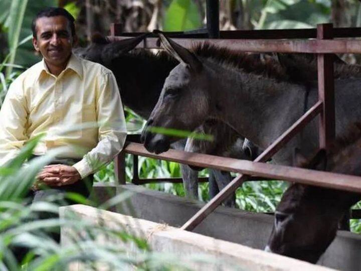 First donkey farm in Karnataka opens in Bantwal marathi news गाढव फार्म सुरू करून त्याने रचला इतिहास! सॉफ्टवेअर कंपनीतील नोकरी सोडली, होतंय कौतुक