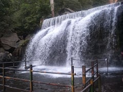 Tamilnadu Waterfalls: தமிழ்நாட்டில் இவ்வளவு அழகான நீர்வீழ்ச்சிகளா- வாங்க பார்க்கலாம்..!