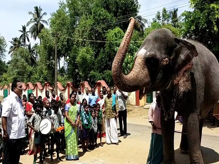 Mayiladuthurai temple elephant to welcome school students! மலர் தூவி மாணவர்களை வரவேற்ற யானை;ஜாலியாக வகுப்பிற்கு சென்ற குழந்தைகள் - வைரல் போட்டோஸ்