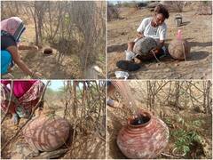 IN PICS: गांव में थी पानी की कमी, 300 मटकों से 50 हजार पौधों में डाल दी जान, तस्वीरों में देखें देसी जुगाड़
