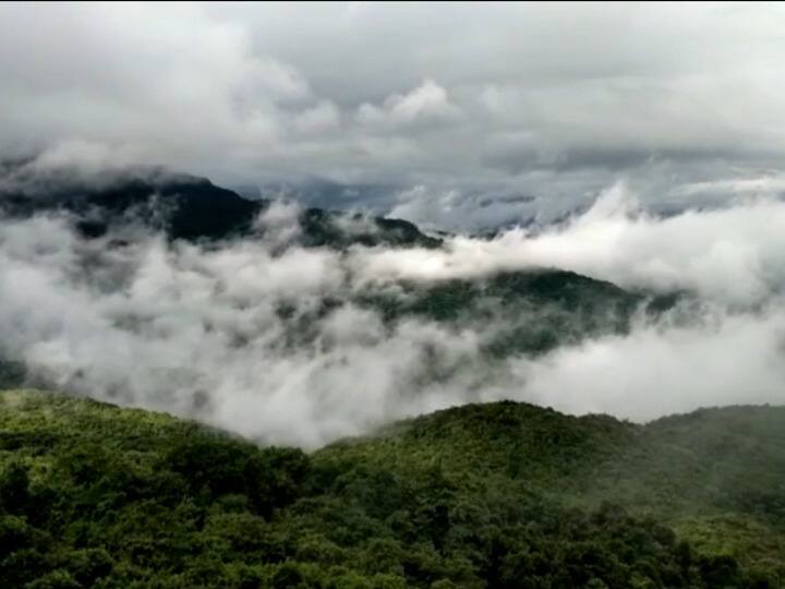 महाराष्ट्रात मान्सून दाखल होऊन चार दिवस झाले मात्र तिसऱ्या दिवशीच पाऊस गायब झाला.