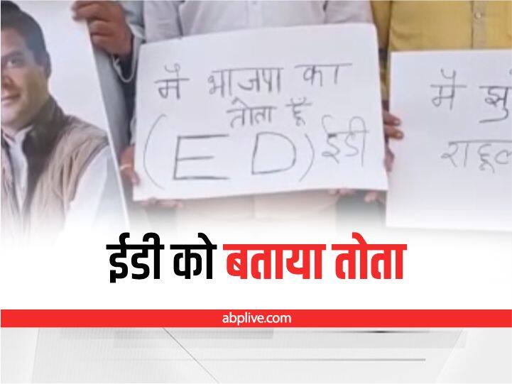 Indore News: राहुल गांधी को ईडी के नोटिस के विरोध में कांग्रेस ने किया प्रदर्शन, ईडी को बताया सरकार का तोता MP News Congress Workers Protest against Notice of ED to Rahul Gandhi in Indore ANN Indore News: राहुल गांधी को ईडी के नोटिस के विरोध में कांग्रेस ने किया प्रदर्शन, ईडी को बताया सरकार का तोता