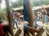 Watch: अररिया में पंचायत का फरमान और हो गई लाठी की बरसात, खूंटे से बांध कर युवक को पीटा, VIDEO वायरल