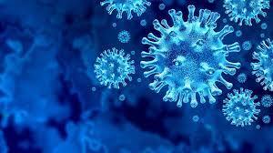 Gujarat Corona Update : રાજ્યમાં કોરોના વાયરસના નવા કેસોમાં આંશિક ઘટાડો, જાણો આજે કેટલા કેસ નોંધાયા
