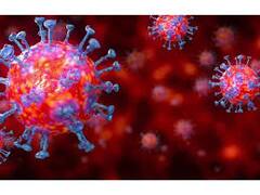 ਸਾਵਧਾਨ - ਭਾਰਤ 'ਚ ਫ਼ਿਰ ਪੈਰ ਪਸਾਰ ਰਿਹਾ ਕੋਰੋਨਾ