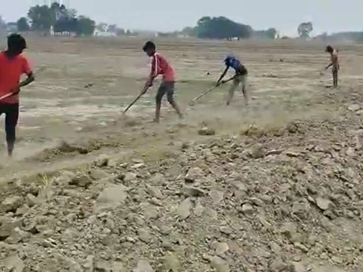 Siddharthnagar Uttar Pradesh Child labour labor department careless on World Day against Child Labour ANN World Day against Child Labour: सिद्धार्थनगर में सिसकता बचपन, कचरा ढोने को मजबूर बच्चे, श्रम विभाग का रवैया उदासीन