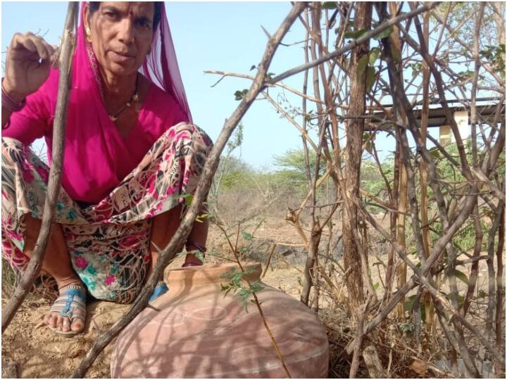 महिला सरपंच चंद्र कुंवर ने बताया कि वर्ष 2020 में जिला परिषद की तरफ से गांव को एक नर्सरी संचालन करने के लिए योजना से जोड़ा था. गांव में गर्मी के समय पानी की समस्या रहती थी. लोगों के तो जैसे-तैसे पीने के पानी की व्यवस्था हो जाती थी लेकिन नर्सरी के पौधों की दिक्कत आ रही थी. पहली बार 50 बीघा जमीन में 50 हजार पौधे लगाए थे.