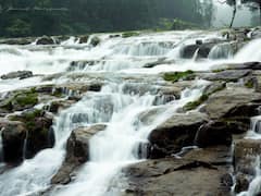 Tamilnadu Waterfalls: தமிழ்நாட்டில் இவ்வளவு அழகான நீர்வீழ்ச்சிகளா- வாங்க பார்க்கலாம்..!