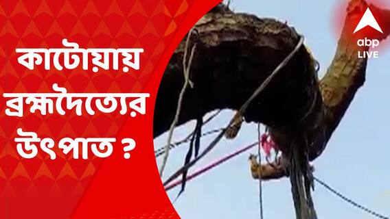 Katwa : কাটোয়ার আখড়া গ্রামের আচার্য পরিবারে নাকি ব্রহ্মদৈত্যের উৎপাত !
